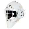 Victory V2 Junior Custom Goalie Mask -Goaliemonkey® 637262773757