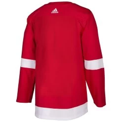 Detroit Red Wings Adidas AdiZero Authentic NHL Hockey Jersey -Goaliemonkey® det 503 back home