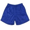 Alleson 580PY Youth Nylon Mesh Shorts -Goaliemonkey® homerun alleson apparel 580py youth nylon mesh shorts