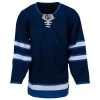 Winnipeg Jets MonkeySports Uncrested Adult Hockey Jersey -Goaliemonkey® monkeysports hockey jersey uncrested winnipeg jets sr